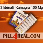 Sildénafil Kamagra 100 Mg 11